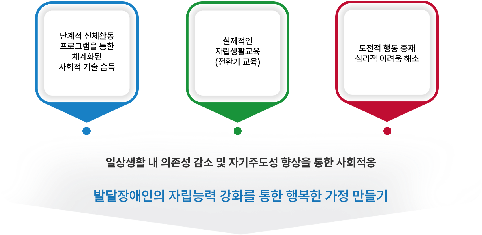 체계화된 사회적 기술 습득, 실제적인 자립생활교육, 도전적 행동 중재 및 심리적 어려움 해소를 통한 사회적응